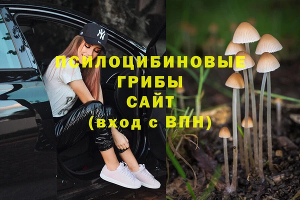 МДМА Белокуриха