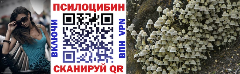 Псилоцибиновые грибы MAGIC MUSHROOMS Светлый